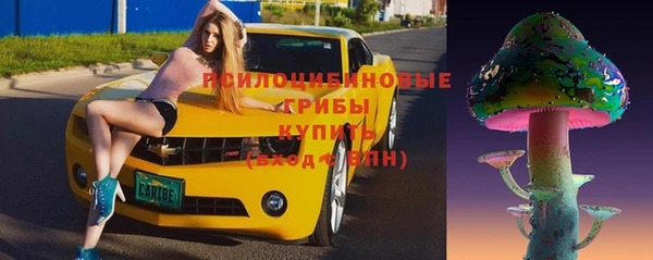 молекула духа Бородино
