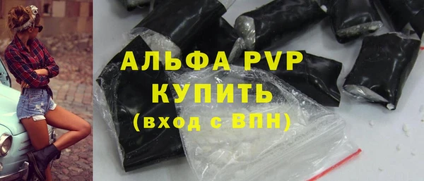 молекула духа Бородино