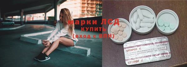 индика Богородицк