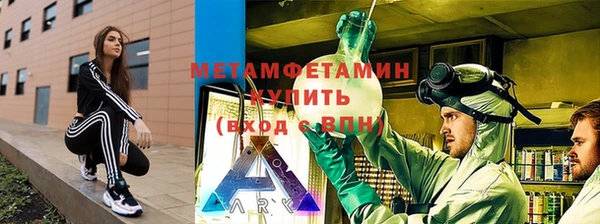 ГАЛЛЮЦИНОГЕННЫЕ ГРИБЫ Богданович