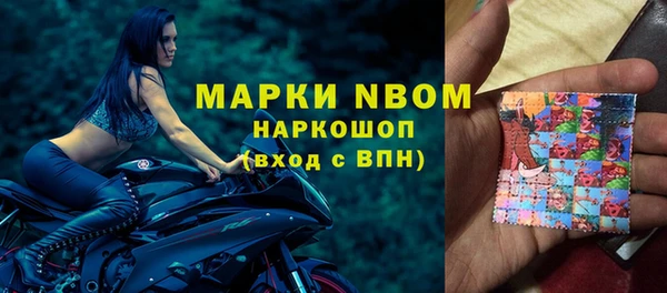 молекула духа Бородино